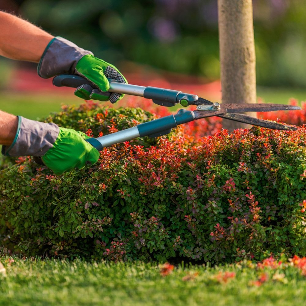 Garden Maintenance